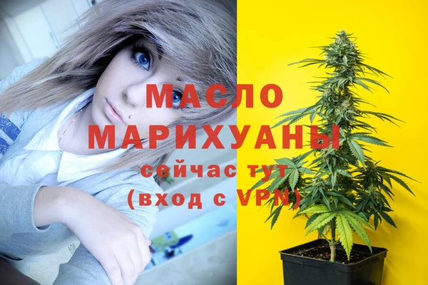 Альфа ПВП Каменка