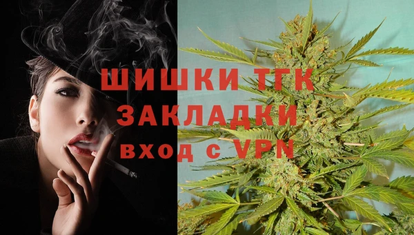 прущие грибы Карпинск