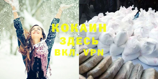 прущие грибы Карпинск
