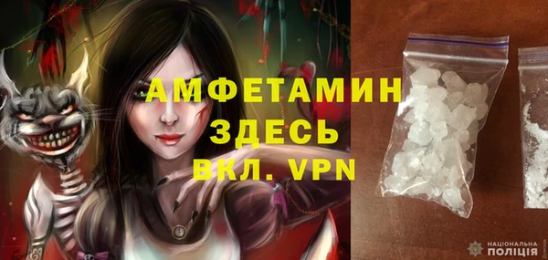 Альфа ПВП Каменка