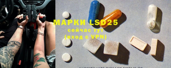 прущие грибы Карпинск