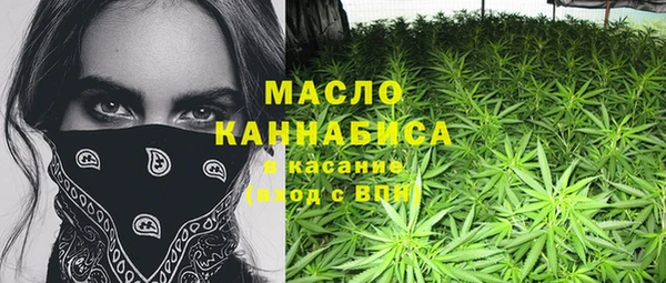 Альфа ПВП Каменка