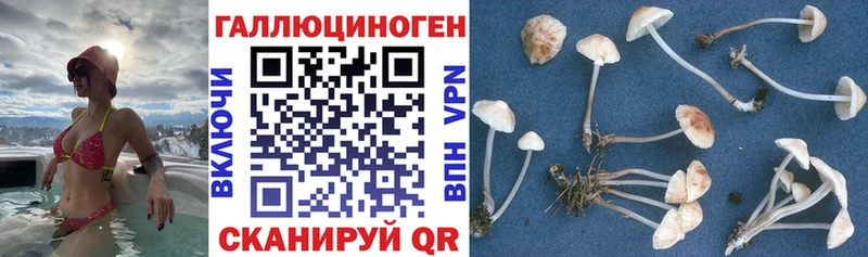 купить закладку  Старый Крым  Галлюциногенные грибы Cubensis 